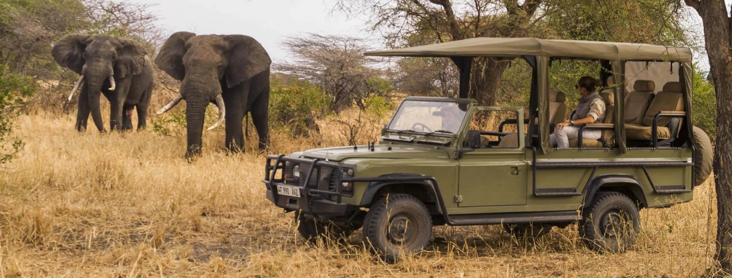 Image for Safari Adventure